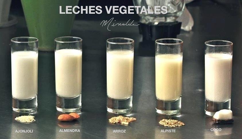 LECHES VEGETALES recetas medicina integral natural Doctor FACUNDO BITSCH