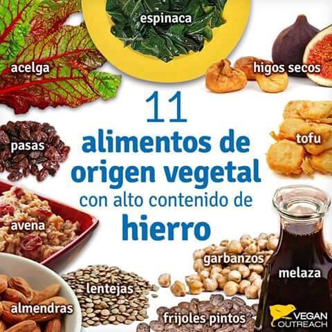 alimentos altos en hierro medicina integral natural doctor facundo bitsch