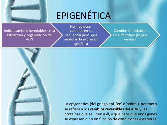 epigenetica y como afecta la salud prender o apagar genes segun el estilo de vida doctor facundo bitsch medicina integral natural